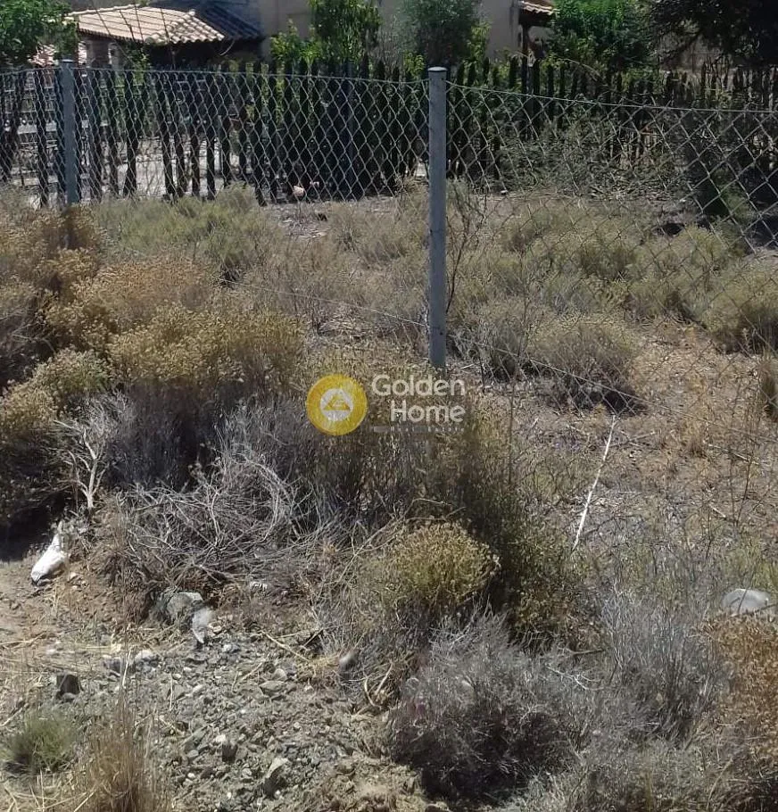 Αγροτεμάχιο 251τ.μ.  - 3