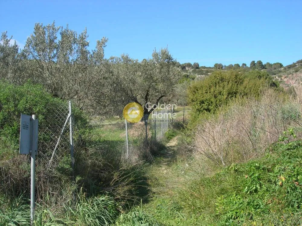 Land Parcel 2664m²  - 4