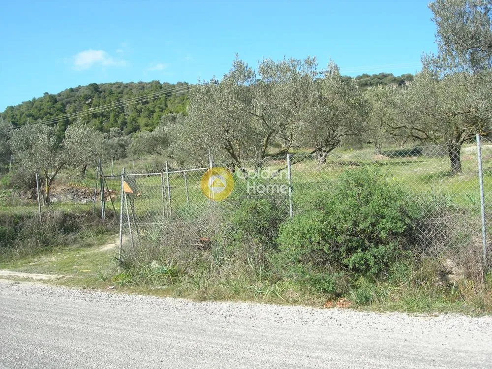 Land Parcel 2664m²  - 5