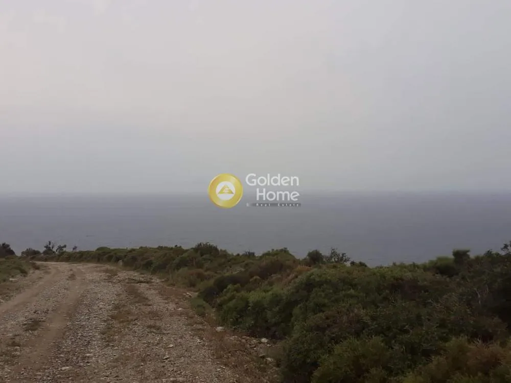 Αγροτεμάχιο 4000τ.μ.  - 5