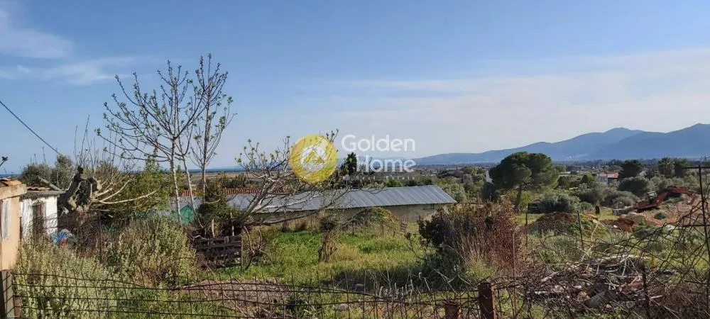 Αγροτεμάχιο 16000τ.μ.  - 3