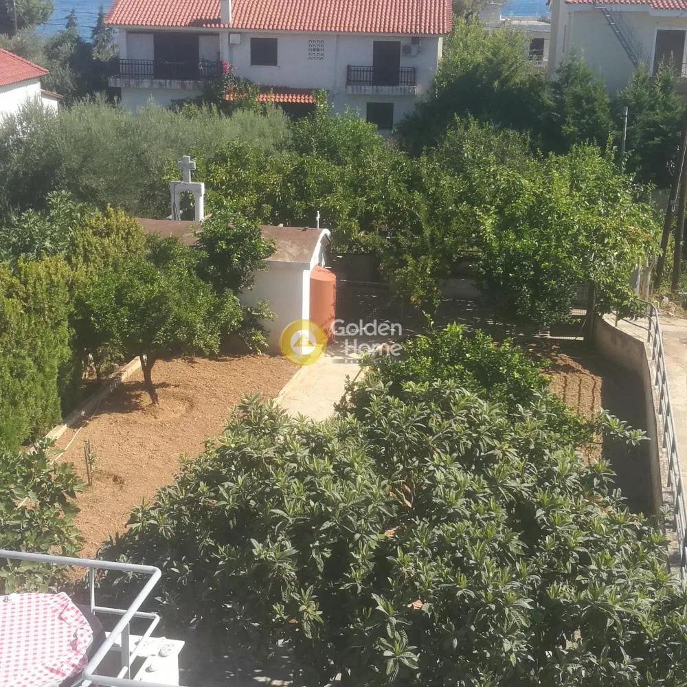 Detached house 250m²  - 4