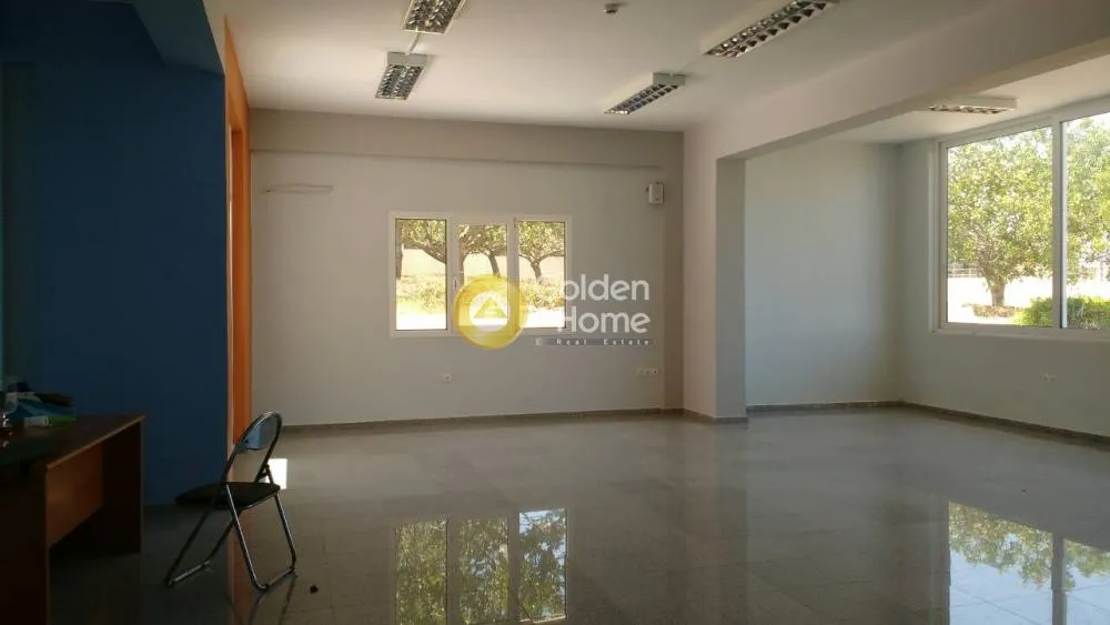 Shop 300m²  - 3