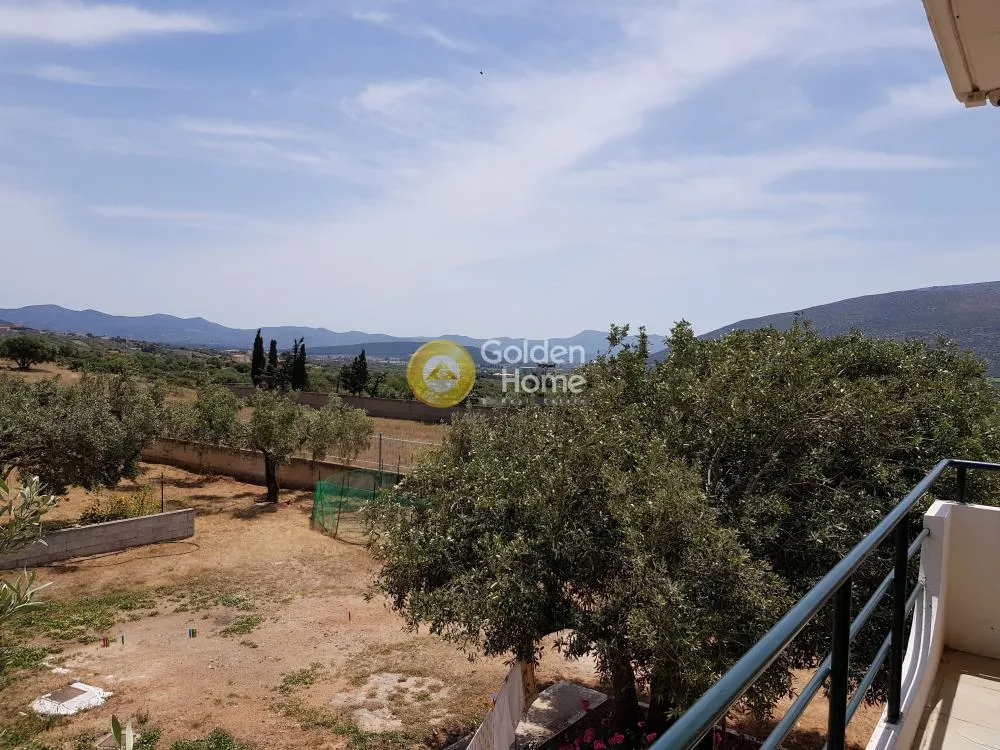 Μονοκατοικία 217τ.μ.  - 2