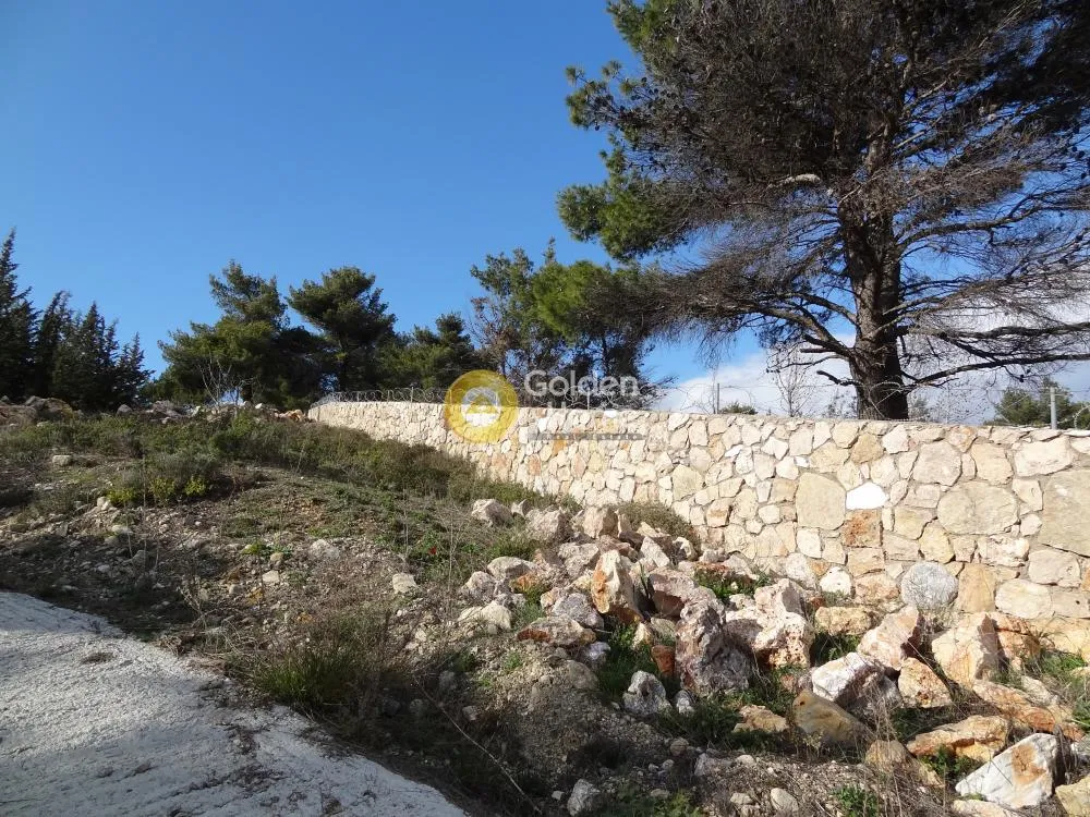 Μεζονέτα 240τ.μ.  - 5