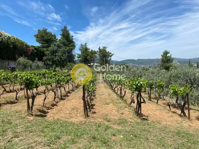 Other ..  360m²  - 2
