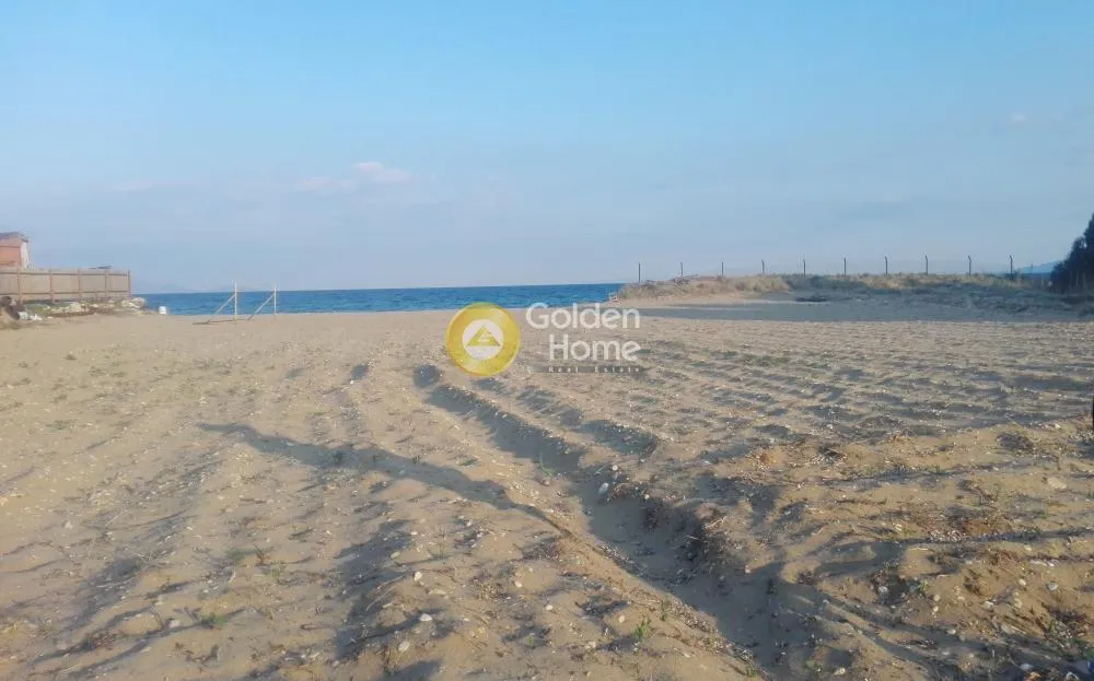 Αγροτεμάχιο 75000τ.μ.  - 3