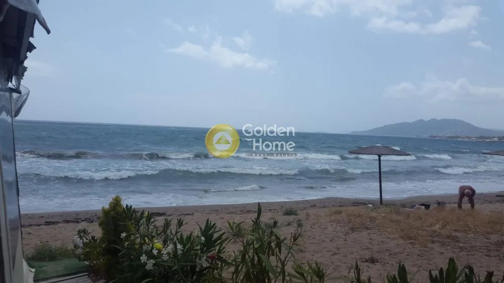 Κατάστημα 280τ.μ.  - 2