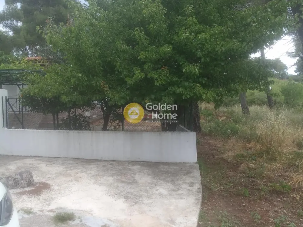 Αγροτεμάχιο 238τ.μ.  - 2