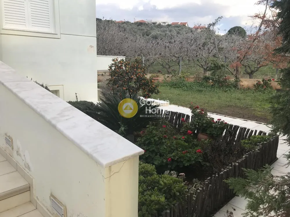Detached house 325m²  - 2