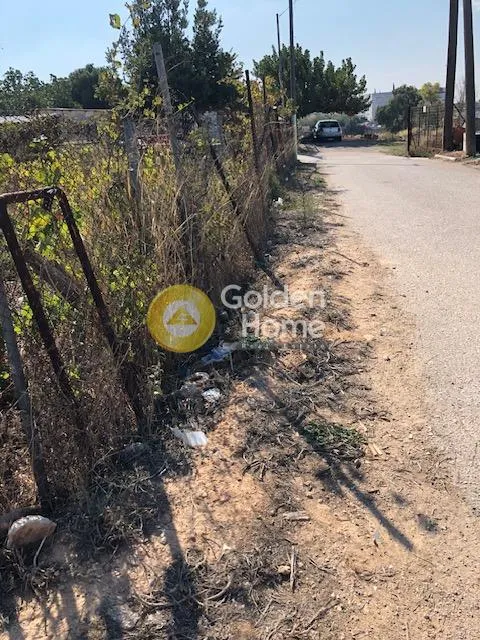 Άλλο.. 445τ.μ.  - 4