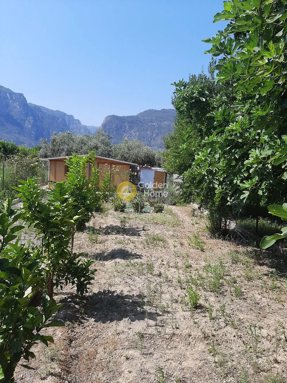 Αγροτεμάχιο 600τ.μ.  - 2