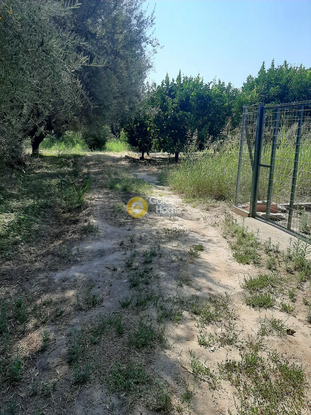 Αγροτεμάχιο 600τ.μ.  - 4