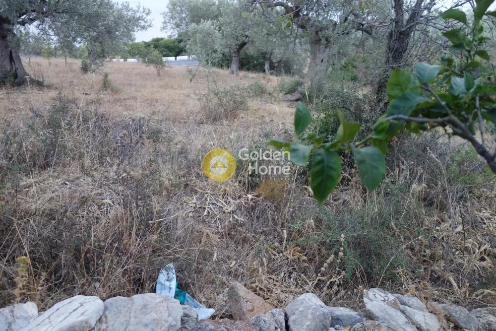 Αγροτεμάχιο 4100τ.μ.  - 4