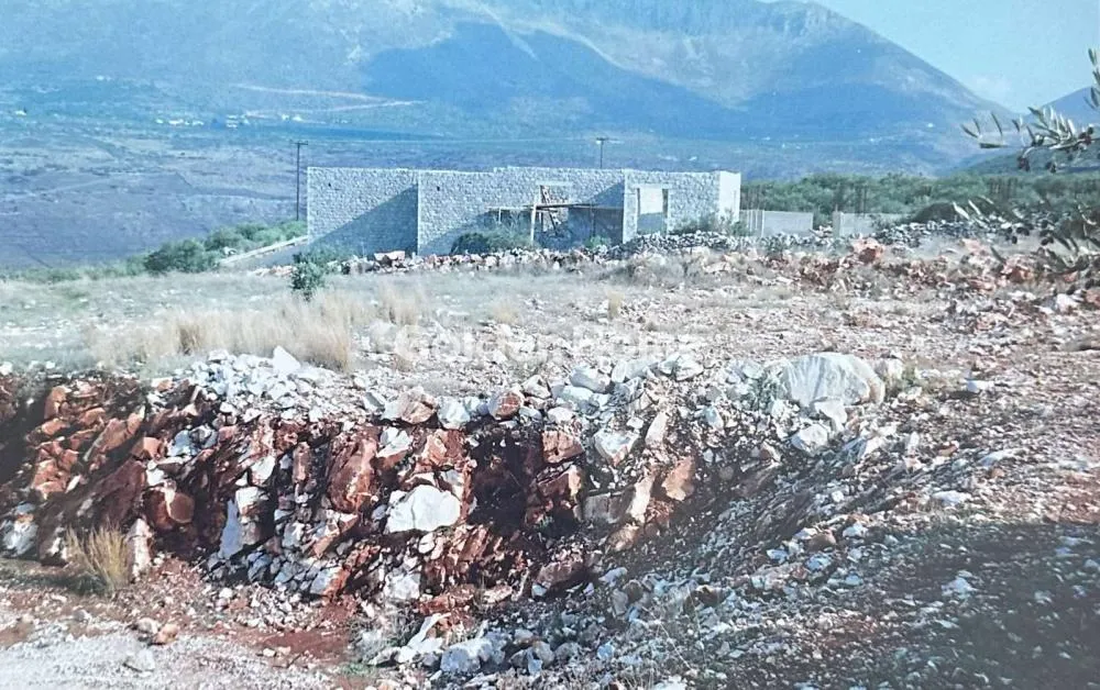 Αγροτεμάχιο 7538τ.μ.  - 2