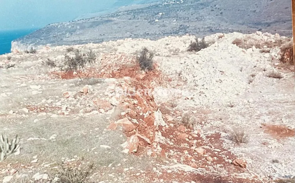 Αγροτεμάχιο 7538τ.μ.  - 3