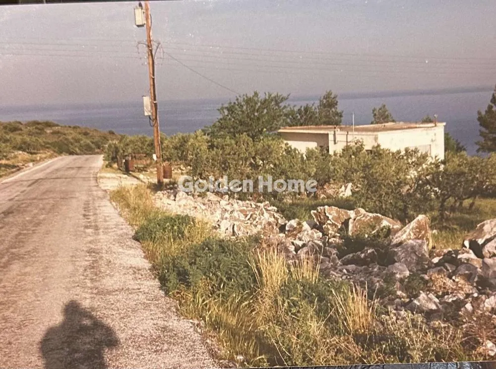 Αγροτεμάχιο 7538τ.μ.  - 4