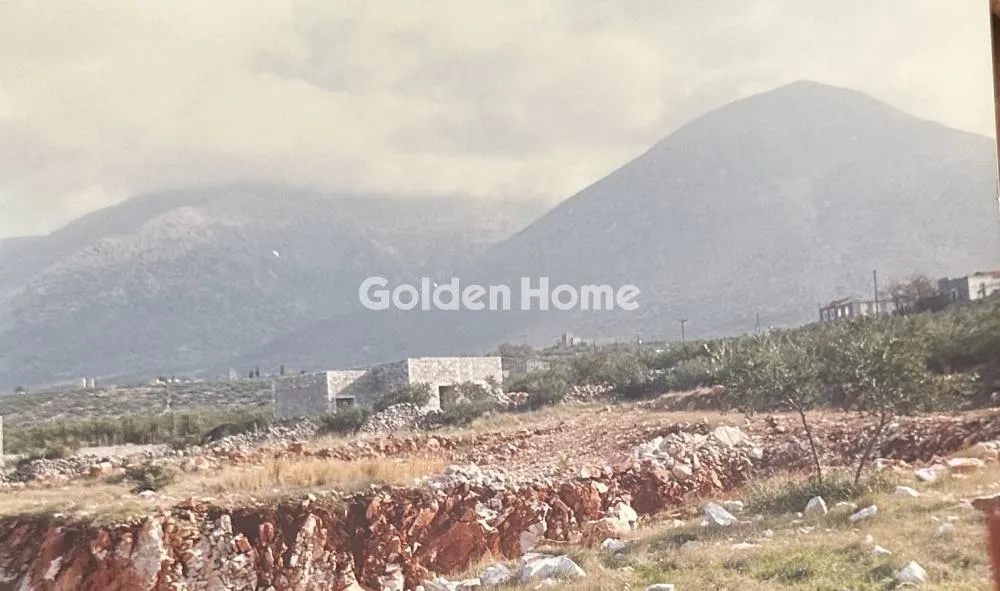 Αγροτεμάχιο 7538τ.μ.  - 5
