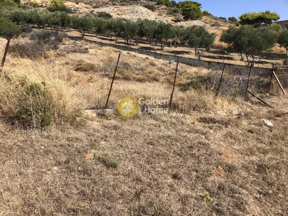Αγροτεμάχιο 800τ.μ.  - 2