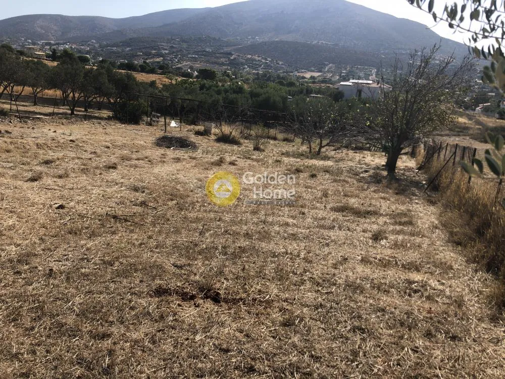 Αγροτεμάχιο 800τ.μ.  - 3