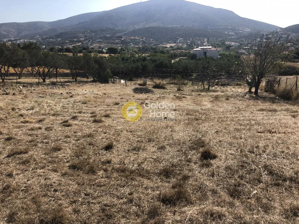 Αγροτεμάχιο 800τ.μ.  - 4
