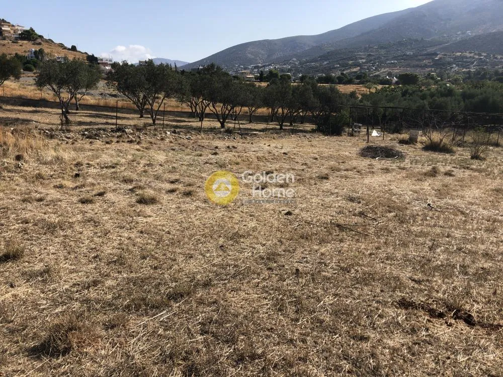 Αγροτεμάχιο 800τ.μ.  - 5