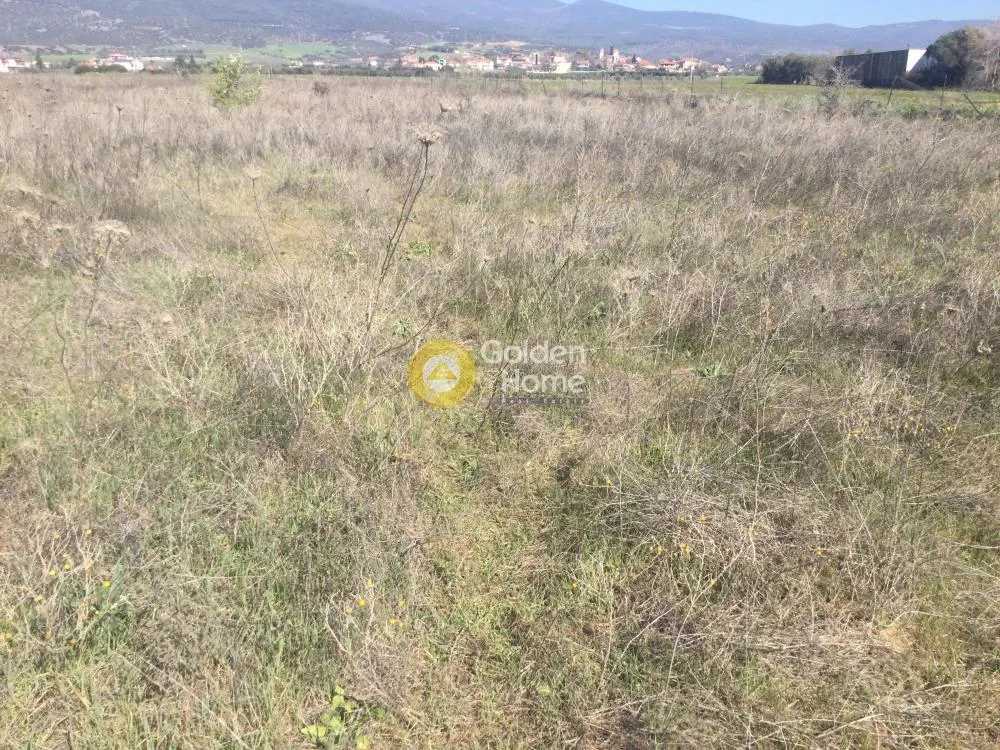 Αγροτεμάχιο 4200τ.μ.  - 2