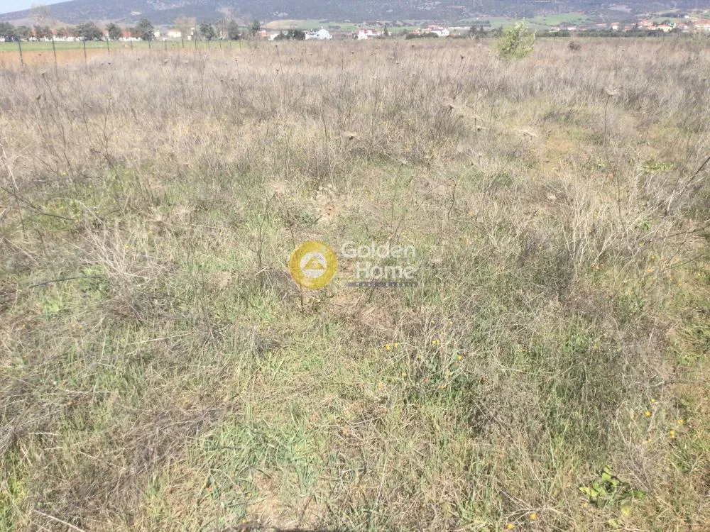 Αγροτεμάχιο 4200τ.μ.  - 3