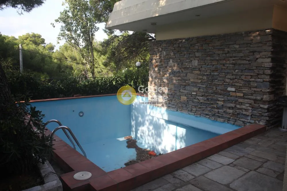 Detached house 360m²  - 5
