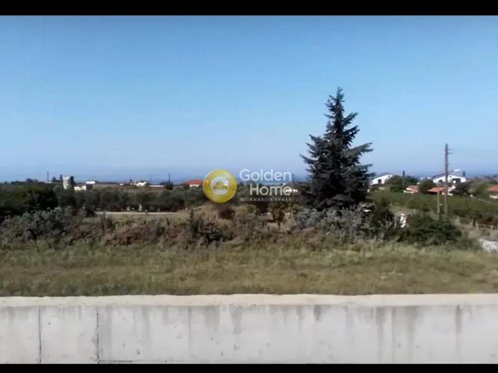 Αγροτεμάχιο 7000τ.μ.  - 2