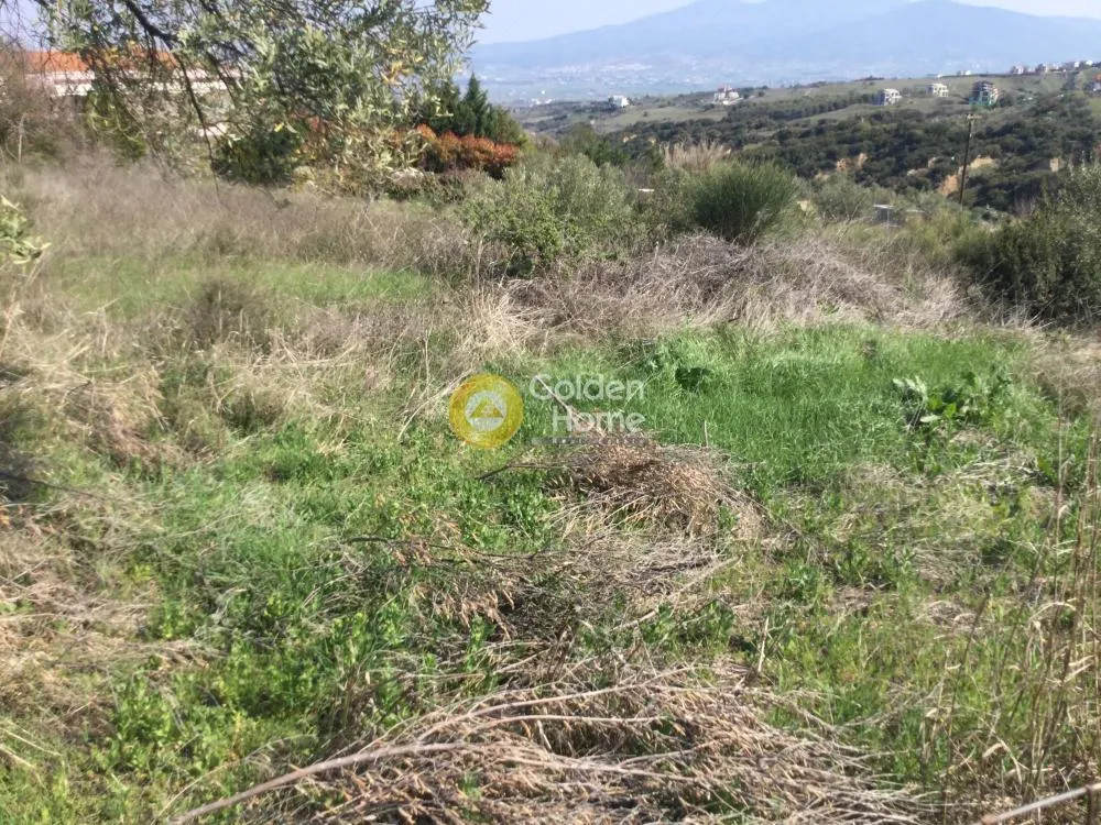 Αγροτεμάχιο 6375τ.μ.  - 2