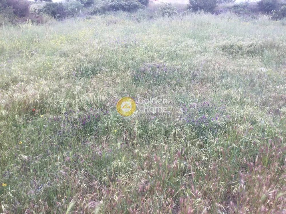 Plot 850m²  - 3