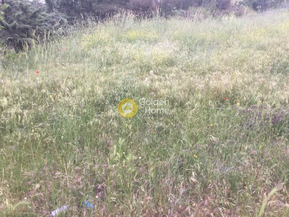 Plot 850m²  - 4