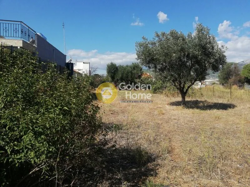 Land Parcel 1418m²  - 2