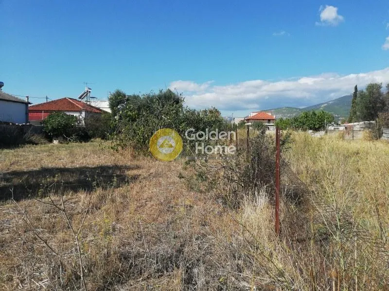 Land Parcel 1418m²  - 3