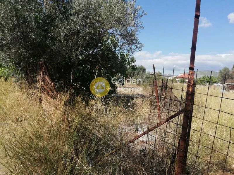 Land Parcel 1418m²  - 5