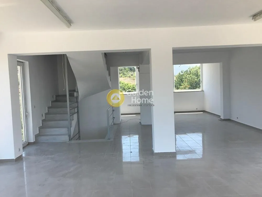 Κατάστημα 135τ.μ.  - 2