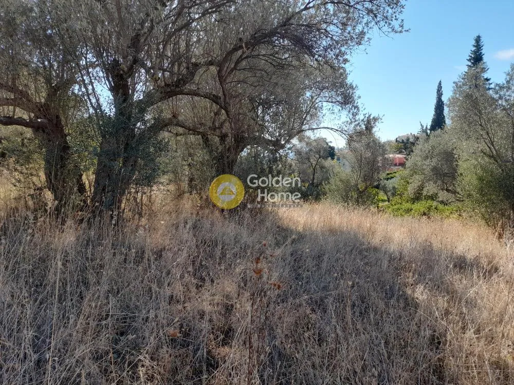 Land Parcel 1500m²  - 2