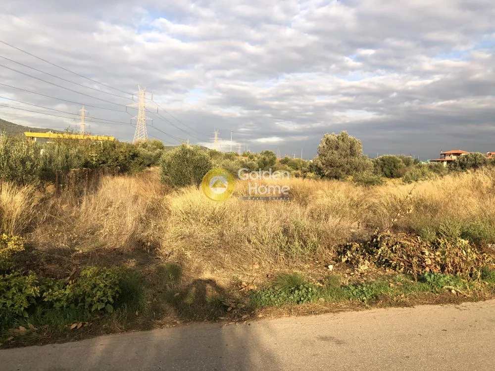 Other .. 4464m²  - 2