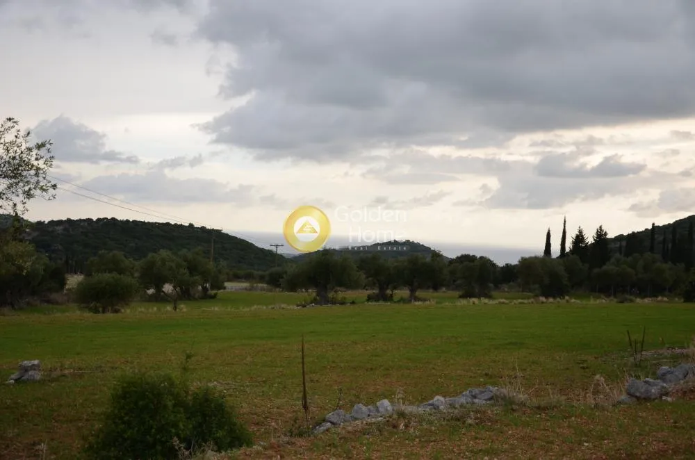 Αγροτεμάχιο 8000τ.μ.  - 3