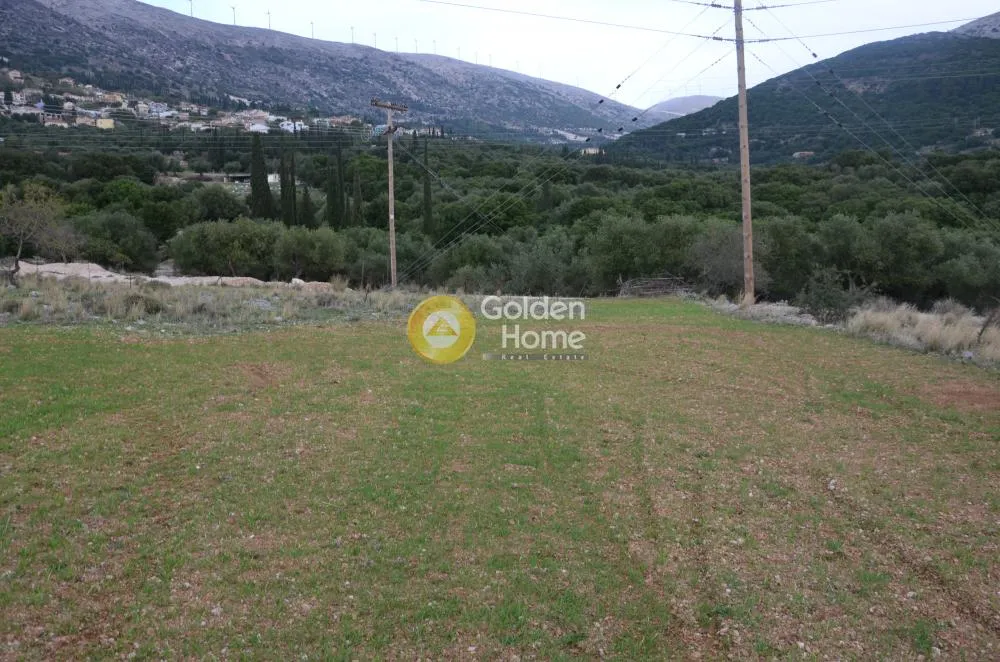 Αγροτεμάχιο 8000τ.μ.  - 5