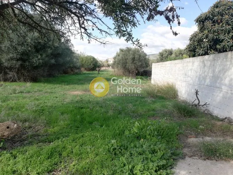 Land Parcel 1131m²  - 2