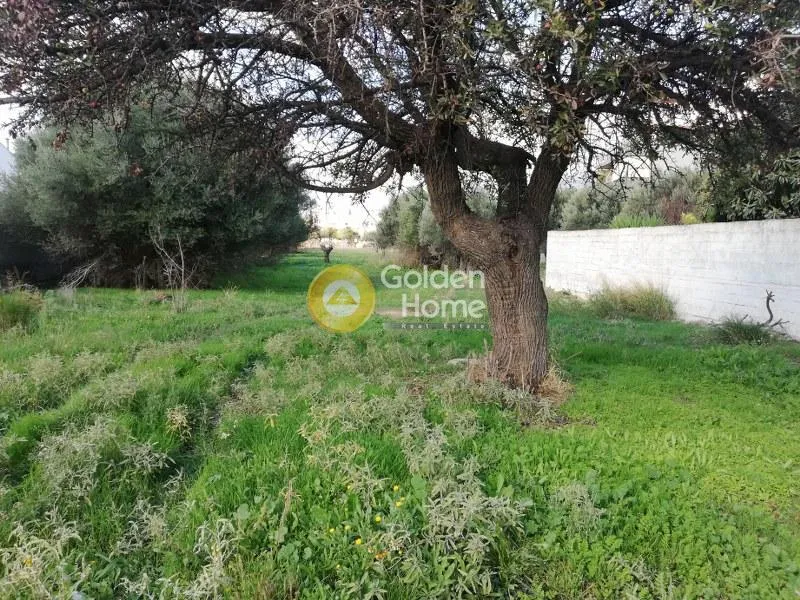 Land Parcel 1131m²  - 3