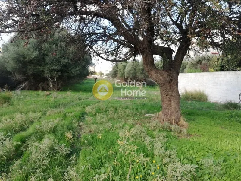 Land Parcel 1131m²  - 4