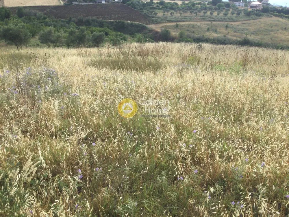 Αγροτεμάχιο 6224τ.μ.  - 2
