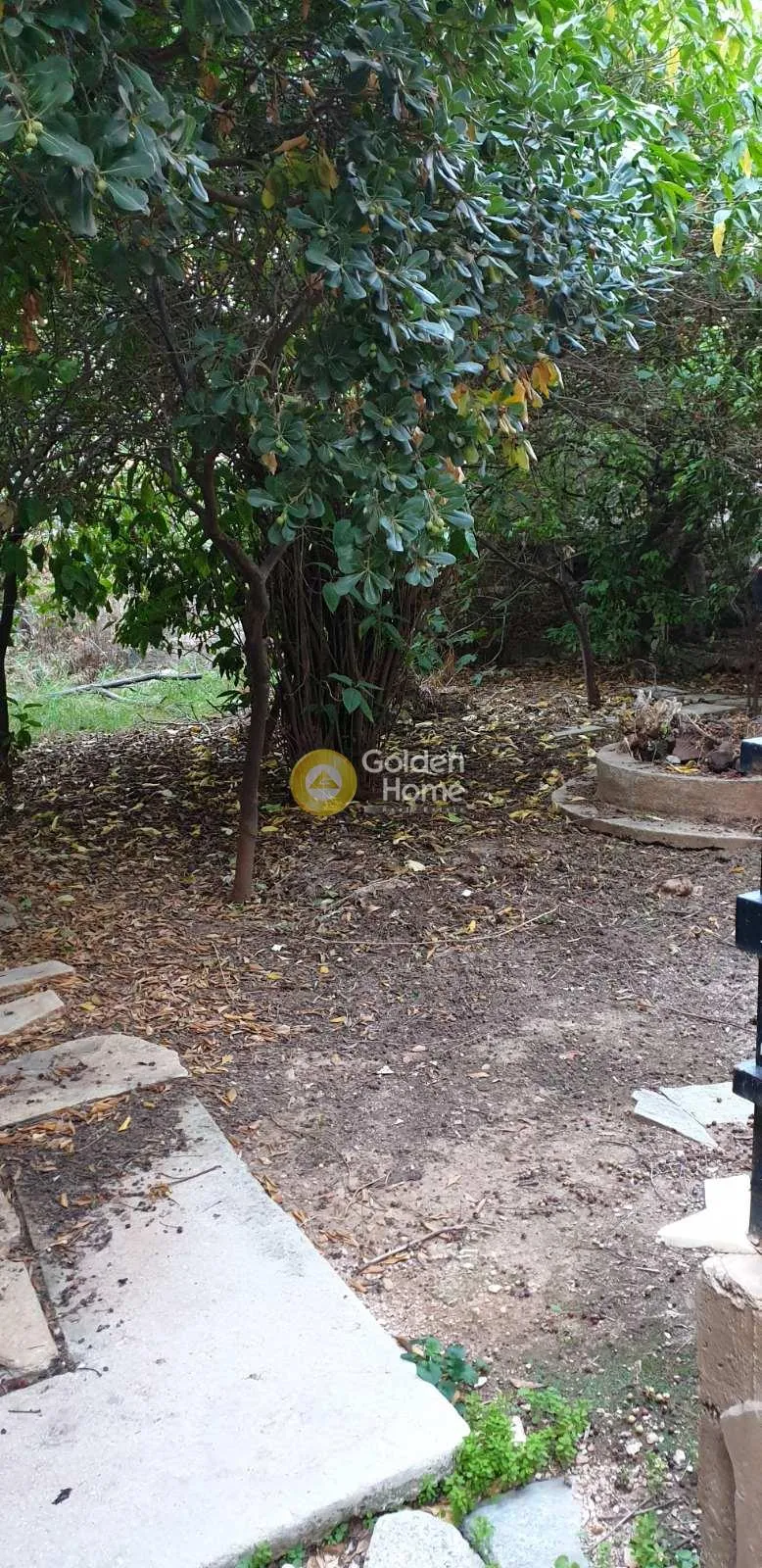 Detached house 300m²  - 3