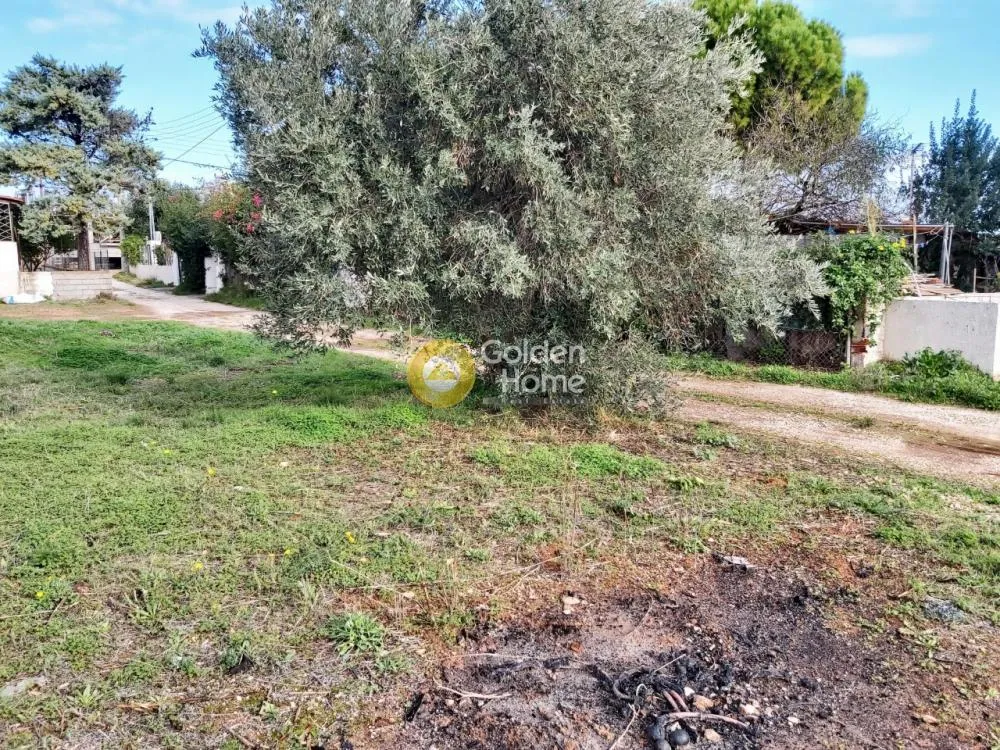 Αγροτεμάχιο 399τ.μ.  - 2