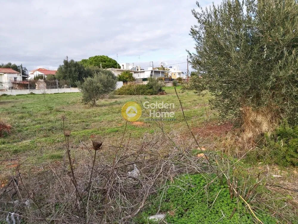 Αγροτεμάχιο 399τ.μ.  - 3