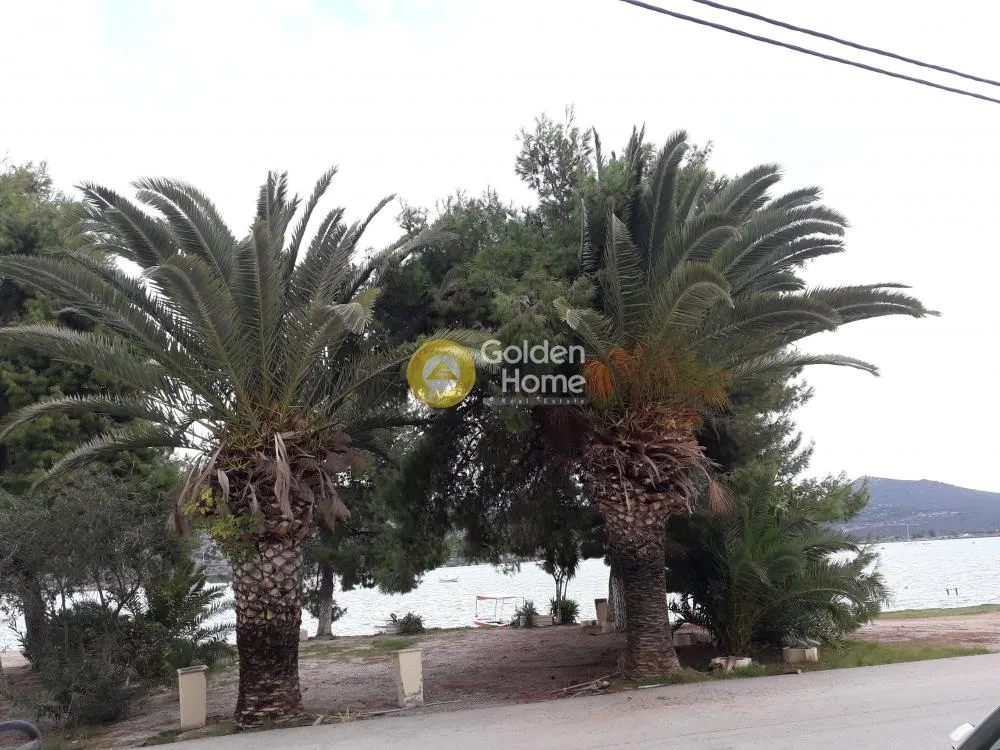 Detached house 200m²  - 4