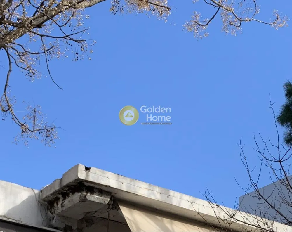 Κατάστημα 320τ.μ.  - 2